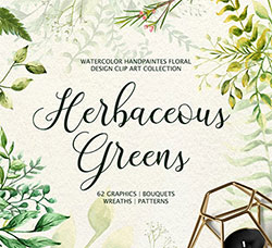 62张高清透明的北欧风水彩草本叶子PNG图片：Herbaceous Greens-watercolor set